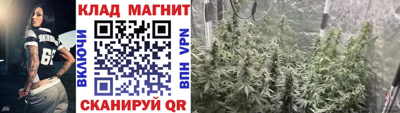 Где продают наркотики Луховицы Гашиш АМФЕТАМИН СК Меф Cocaine Бошки Шишки
