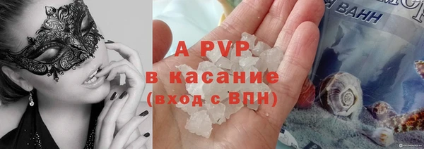 гидра Белокуриха