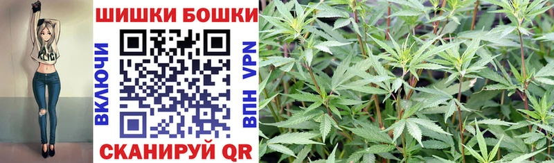 где можно купить   Луховицы  маркетплейс формула  Каннабис семена  мега как войти 
